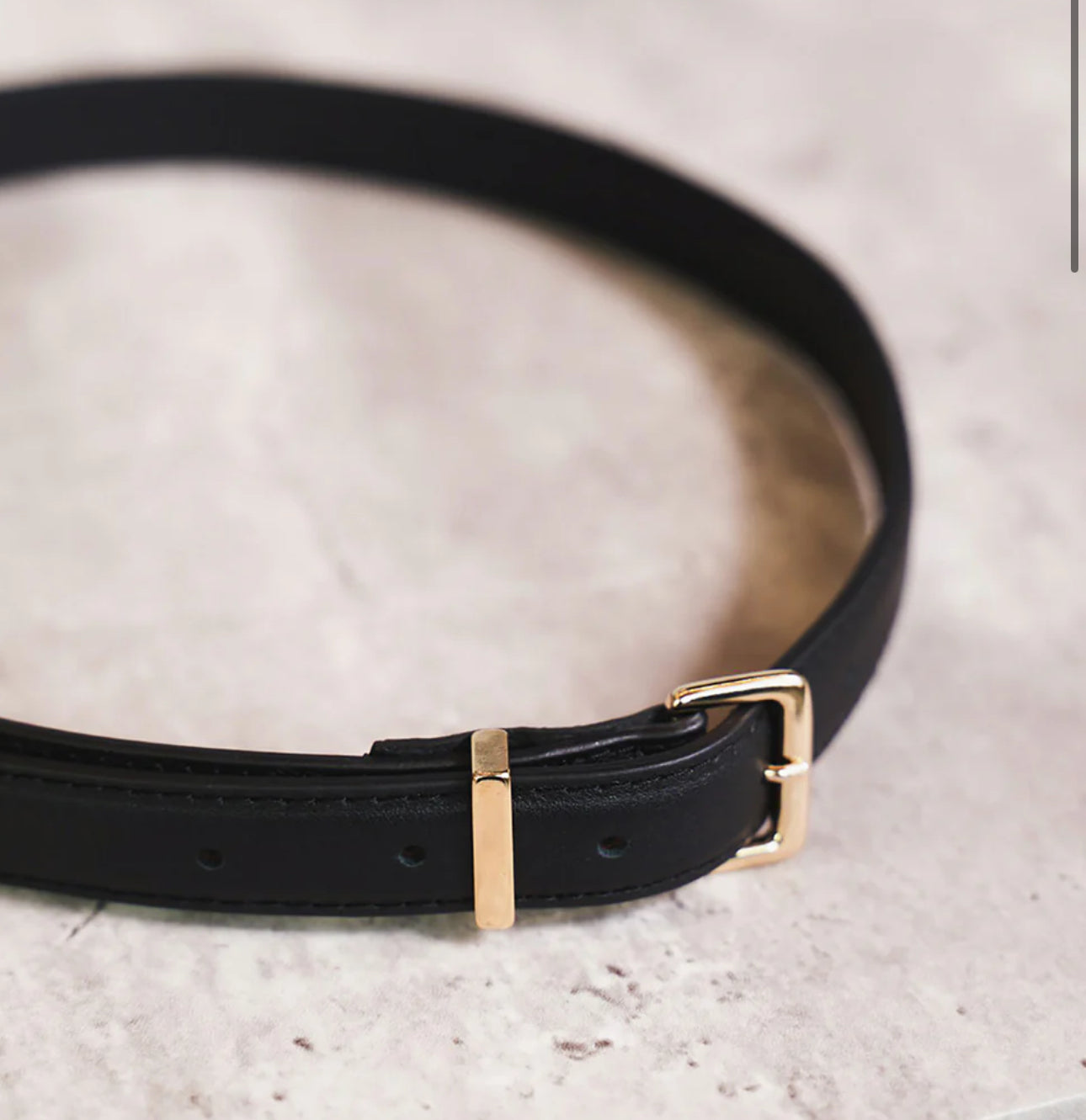 Poppy Barley Thin Black Belt / Gold Hardware (N90S20)