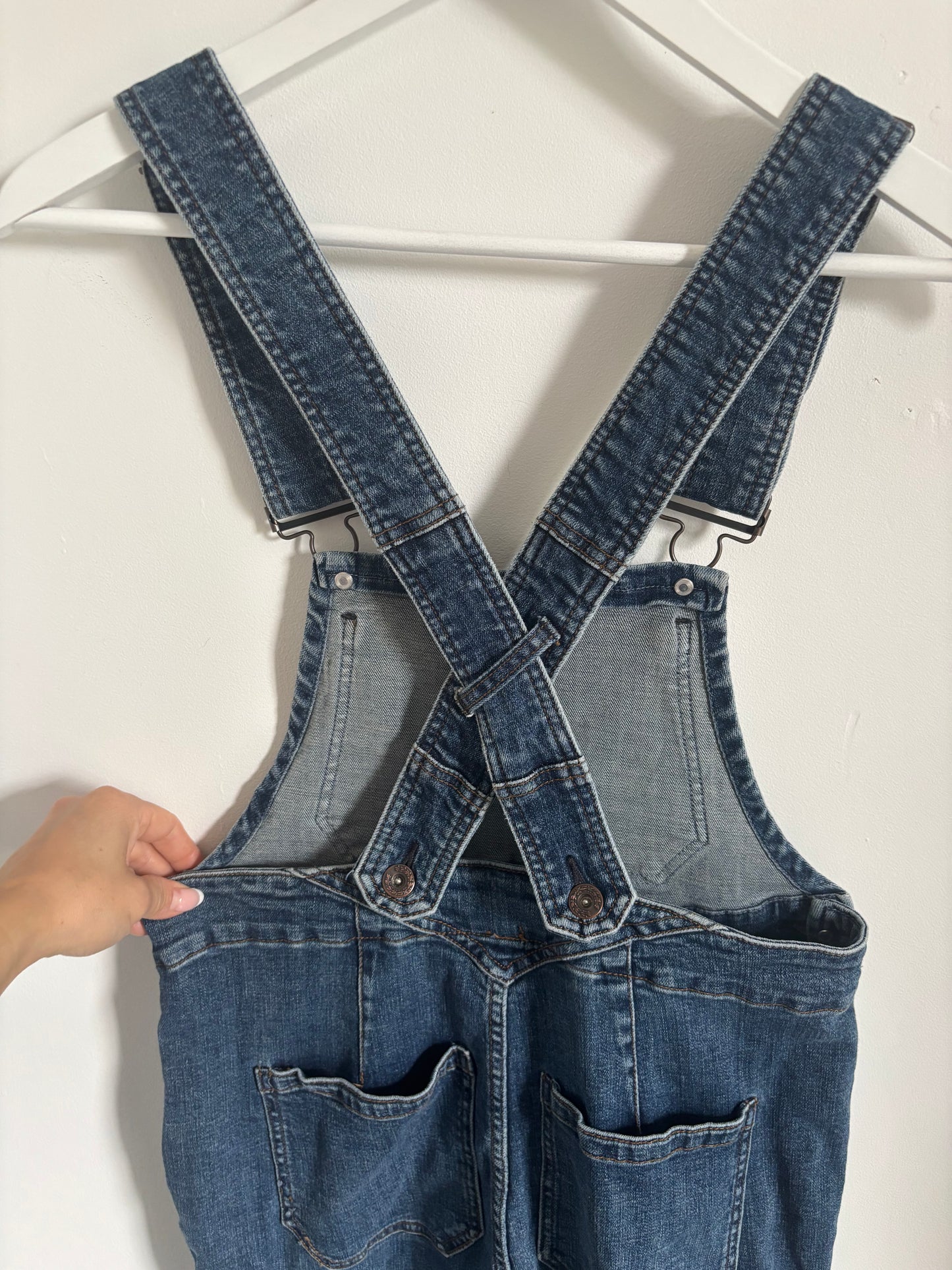 Free People Denim Overalls | 29
