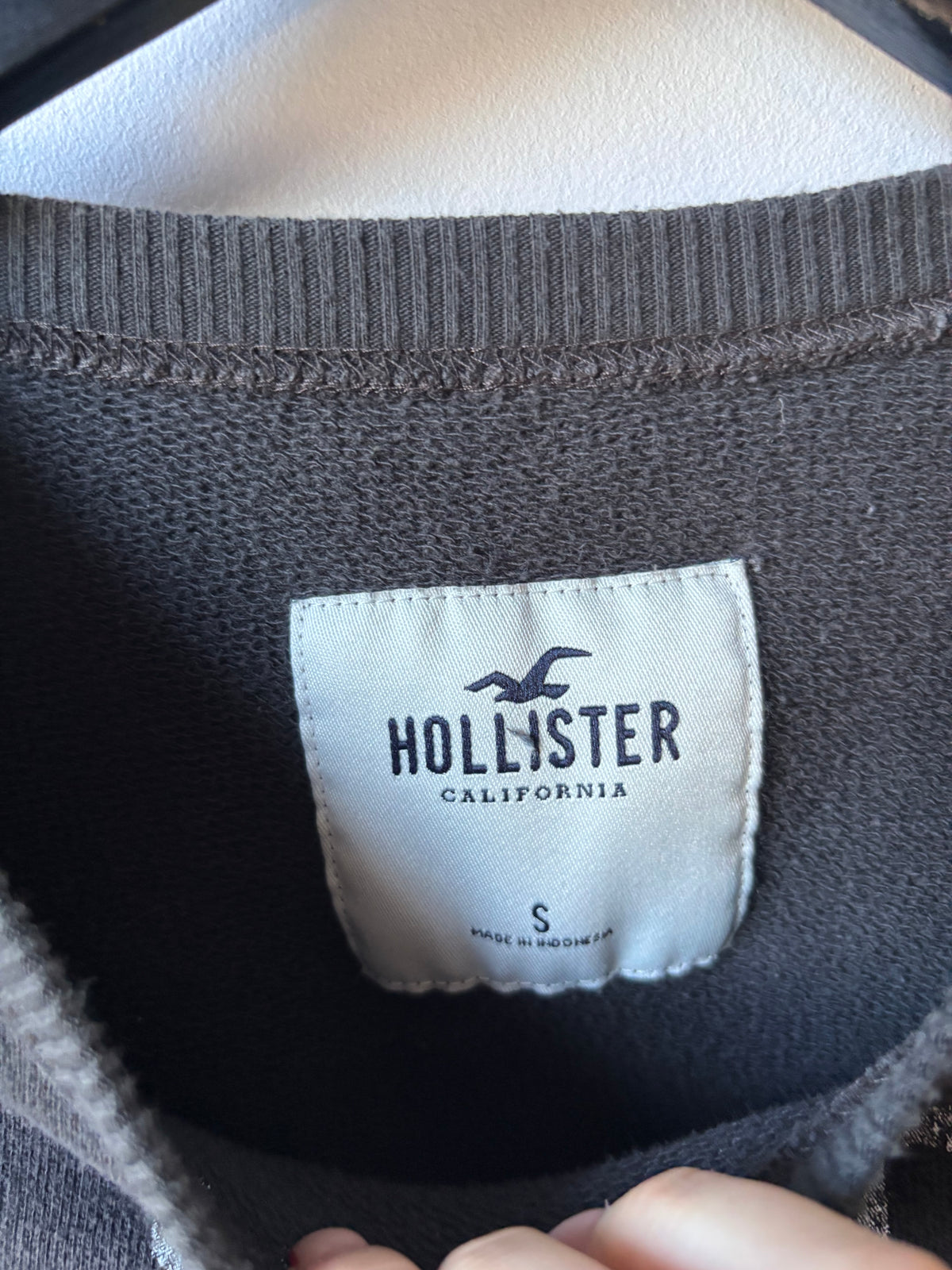 Hollister Wild & Free California" Graphic Cropped Sweatshirt | Sz Small (oversized)
