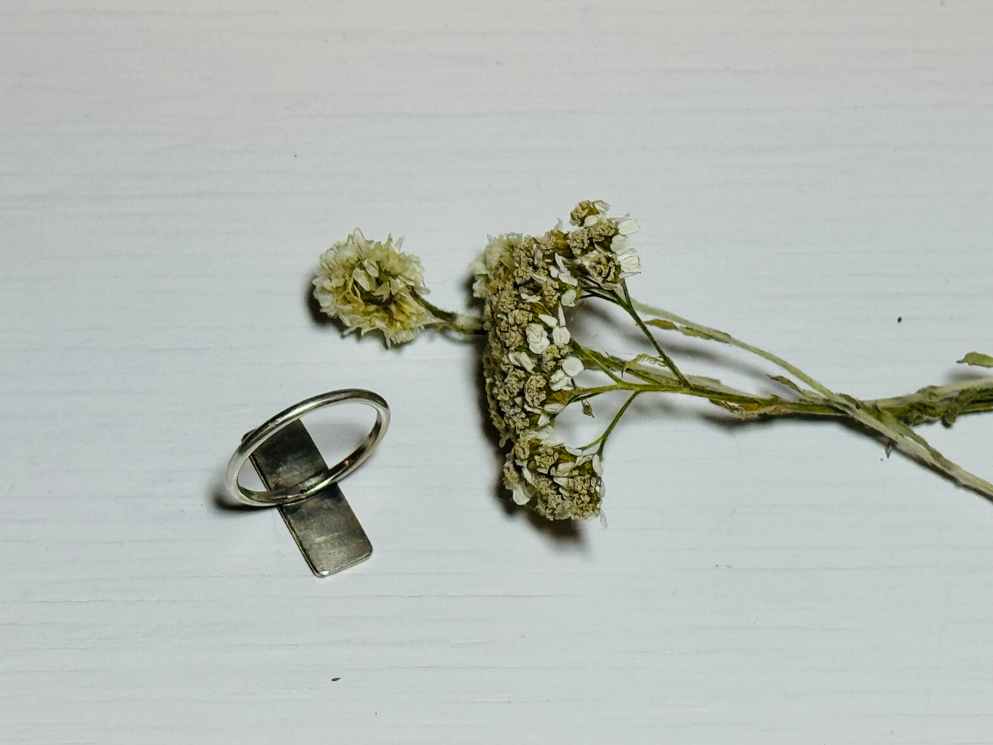 New*Silver Moon Phase Ring