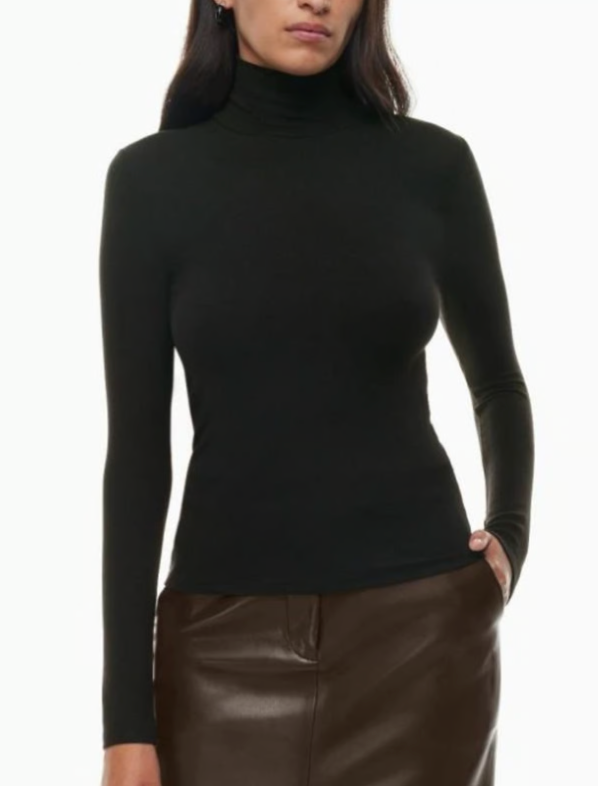 Wilfred/Aritzia Only Turtleneck Top | Large