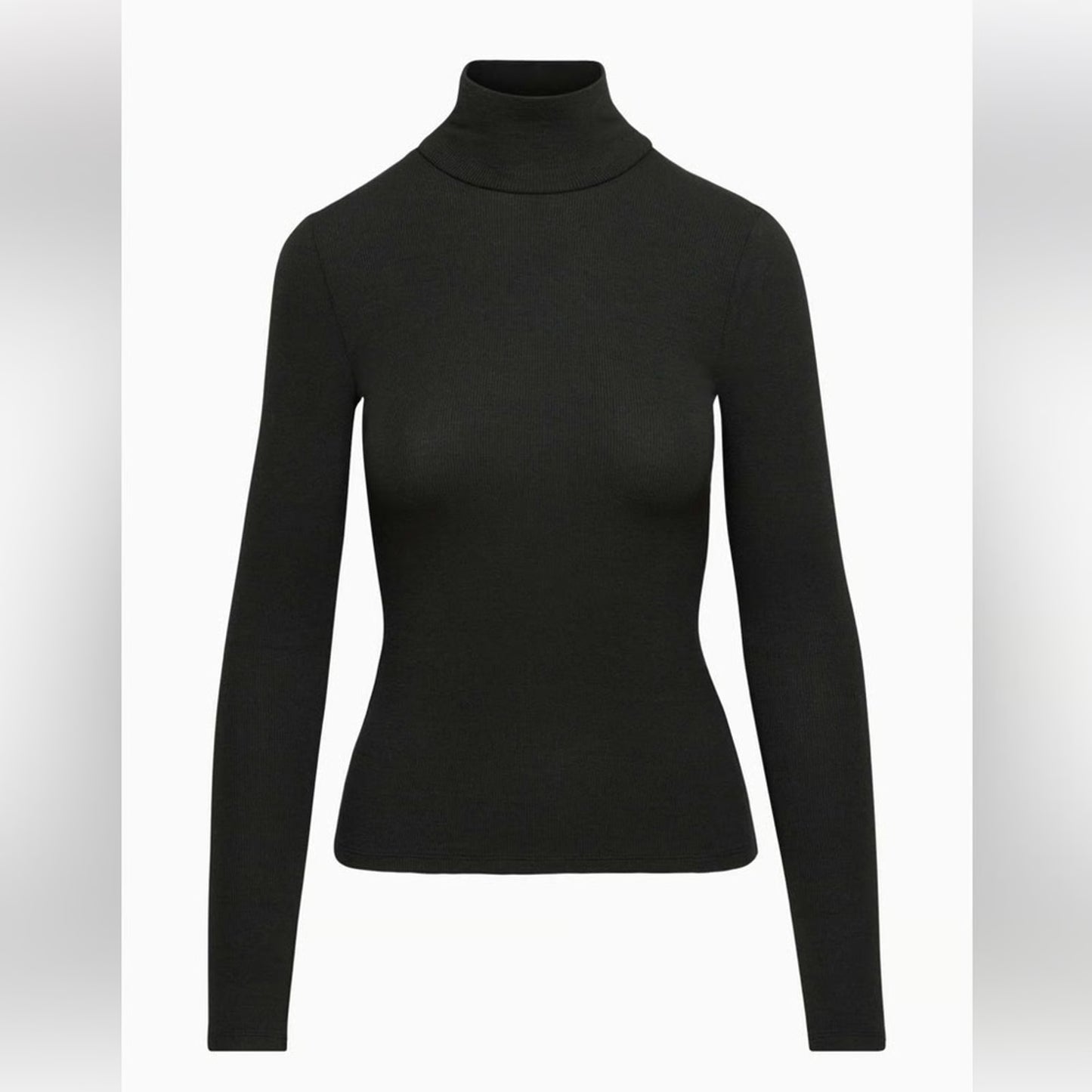 Wilfred/Aritzia Only Turtleneck Top | Large