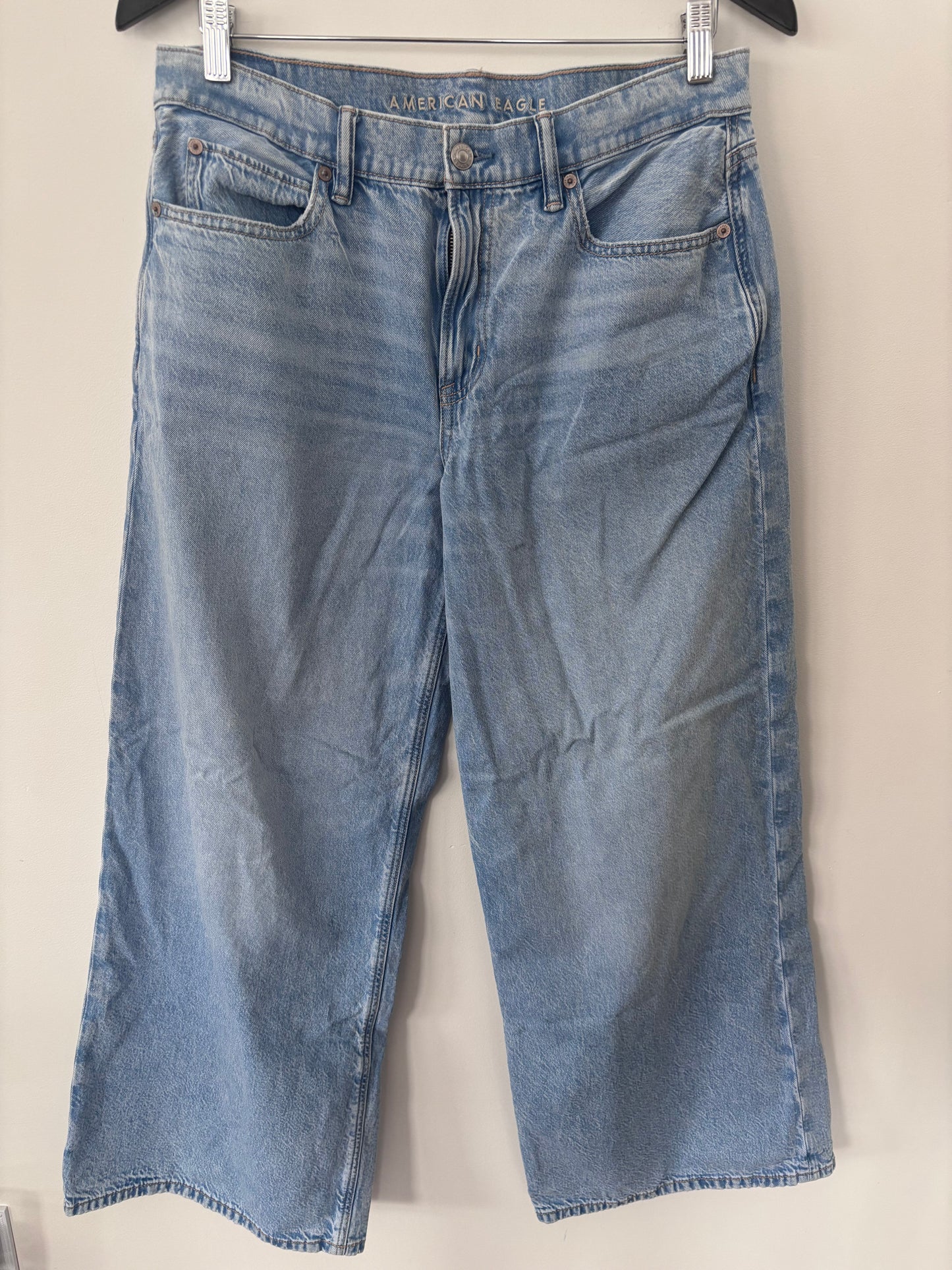 AE Dreamy Drape Strigid Low-Rise Ultra Wide-Leg Jean | Sz 6 (M59W2)