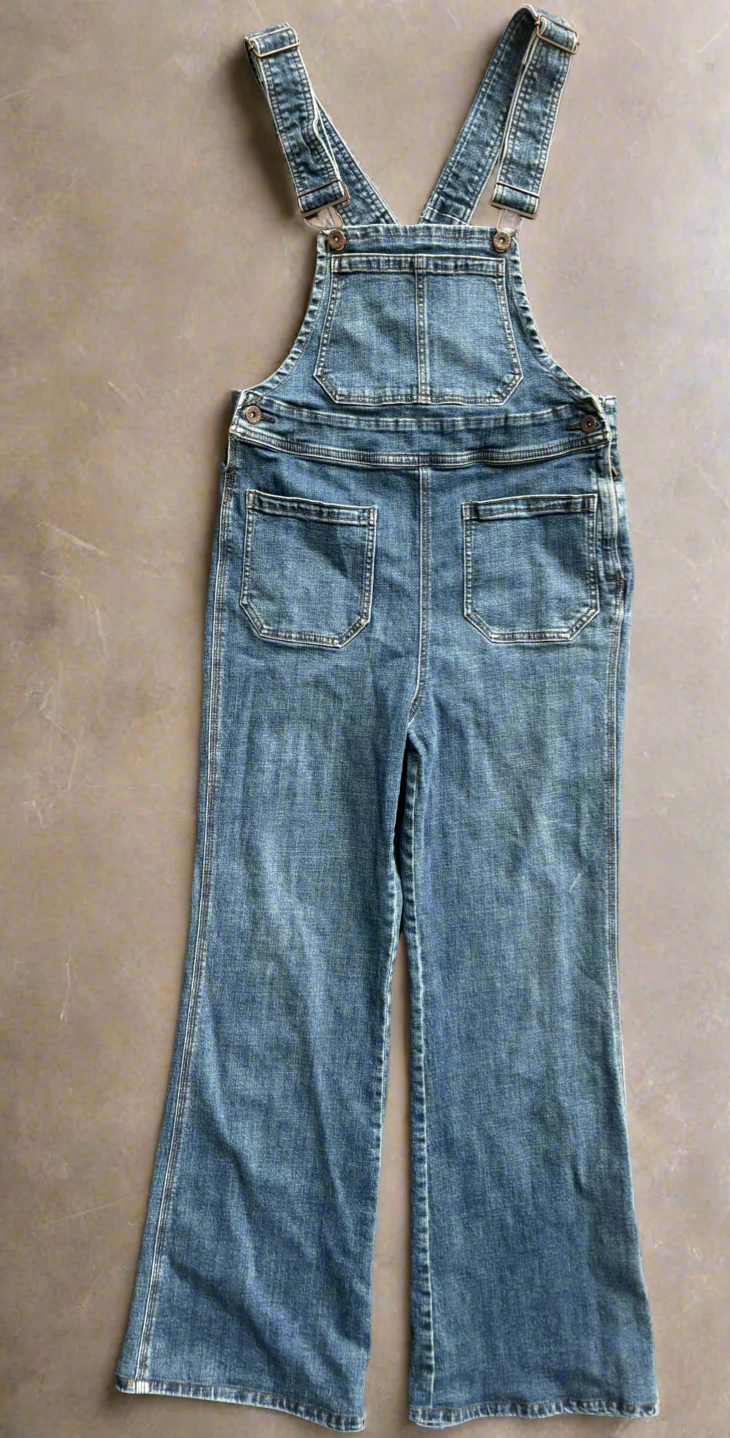 Free People Denim Overalls | 29