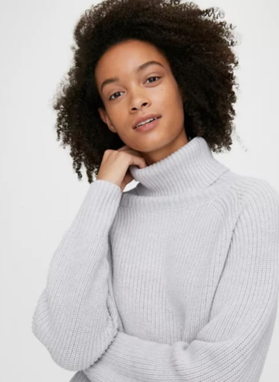 Wilfred Free / Aritzia Asianna Turtleneck Sweater | XXS (N247A22)