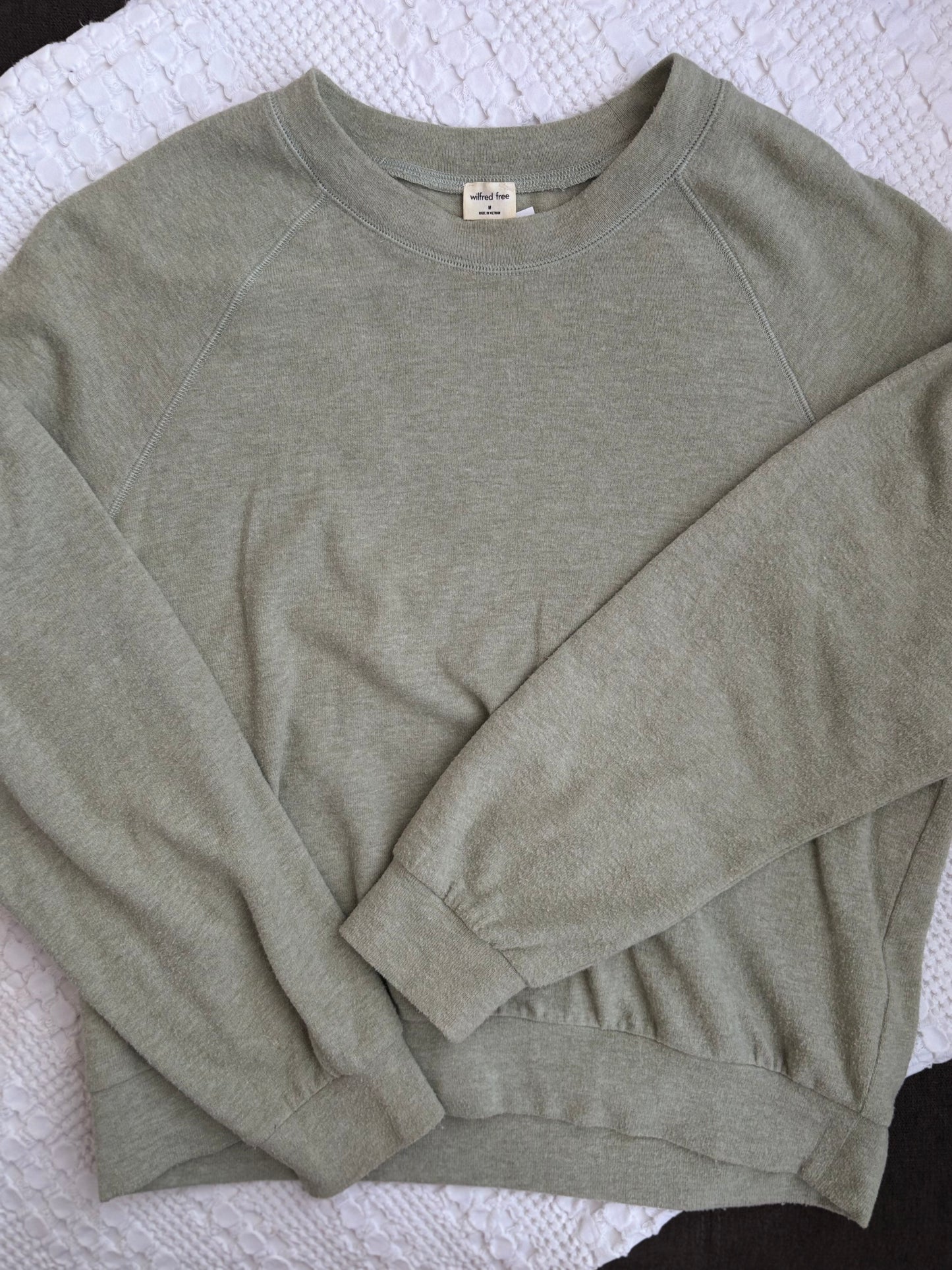 Wilfred Free / Aritzia Sage Green Soft Crewneck Sweater | Sz Medium (F34S6)
