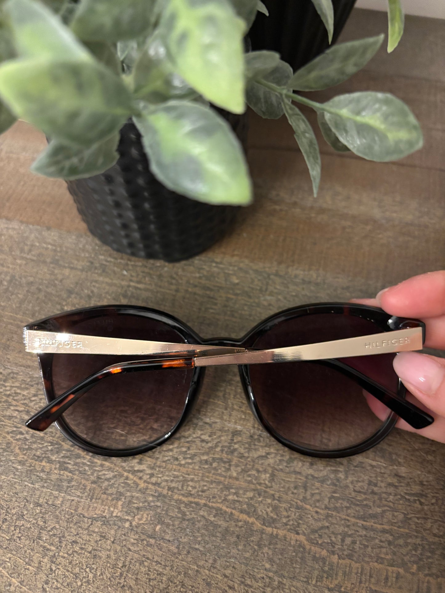 Tommy Hilfiger Sunglasses
