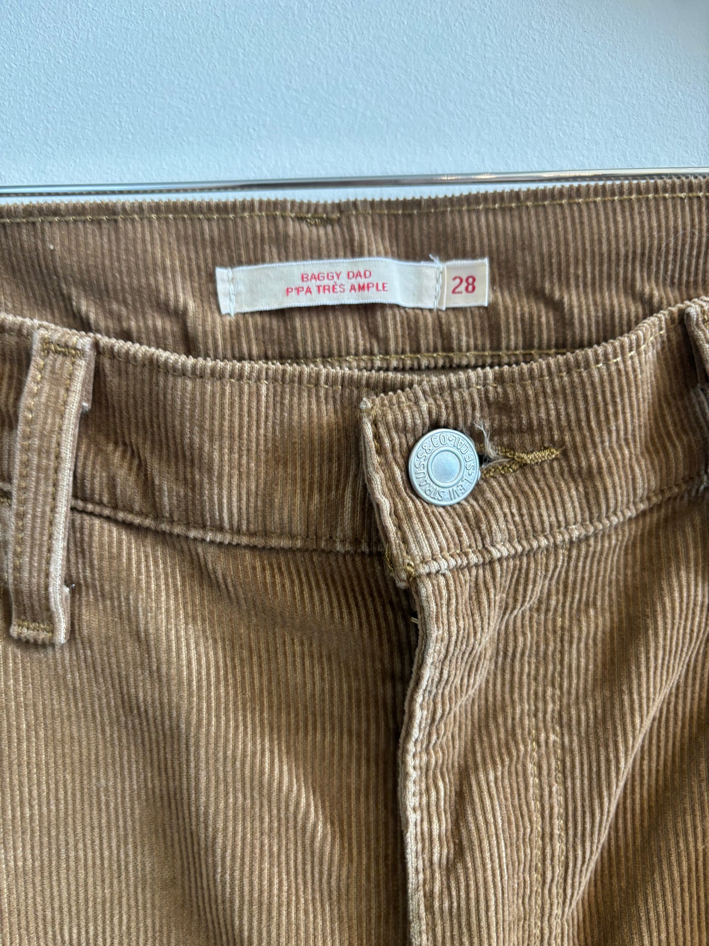 Levi's Baggy Dad Jeans in Brown Corduroy | 28