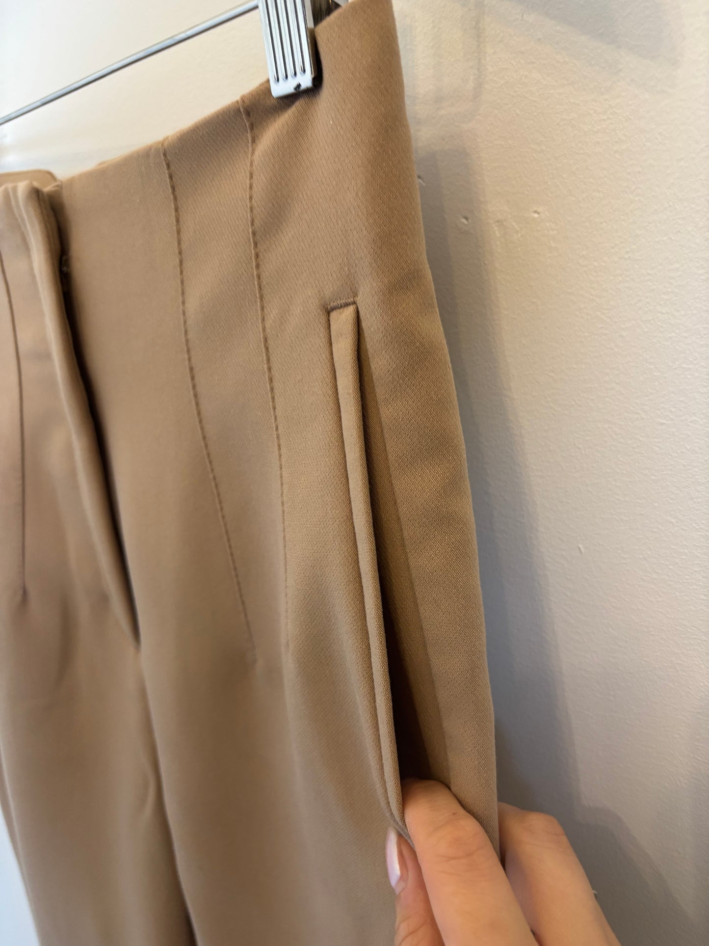 Zara Pleated Pants | Medium (O35L4)