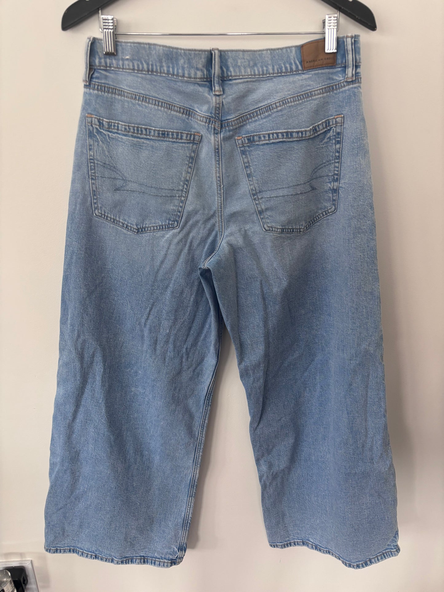 AE Dreamy Drape Strigid Low-Rise Ultra Wide-Leg Jean | Sz 6 (M59W2)