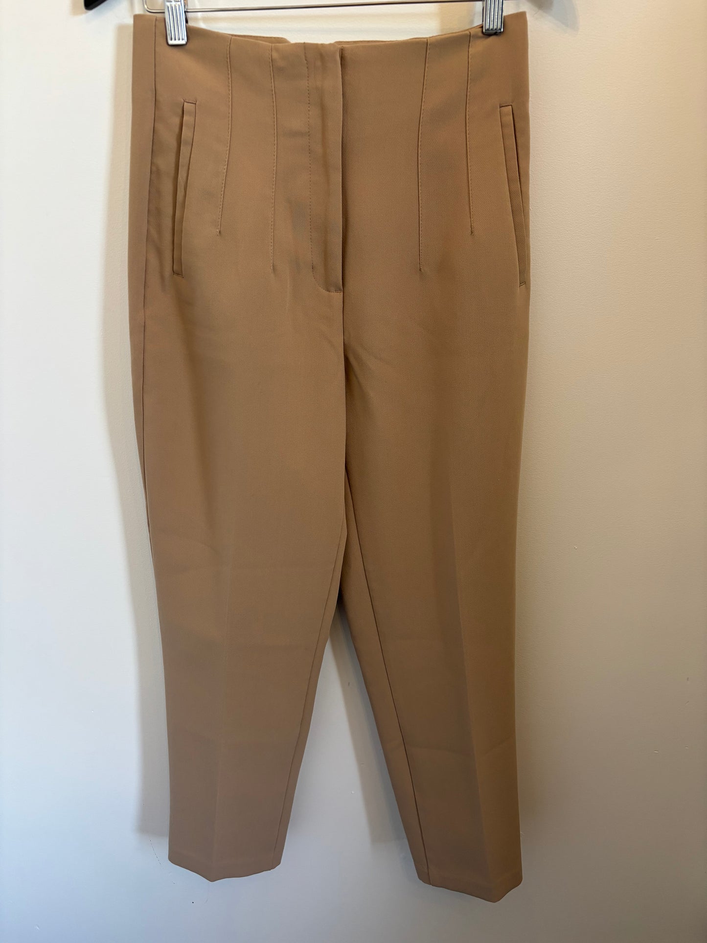 Zara Pleated Pants | Medium (O35L4)