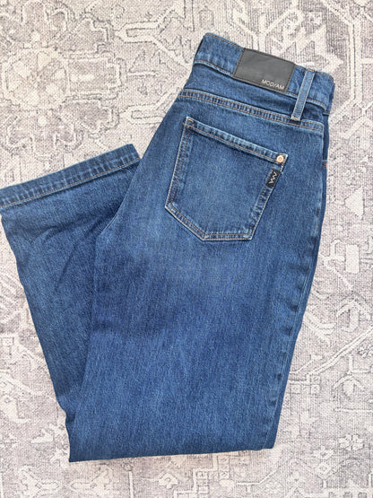 Modern American Daisy Barrel Leg Jeans | Sz 27 (may also fit 28)
