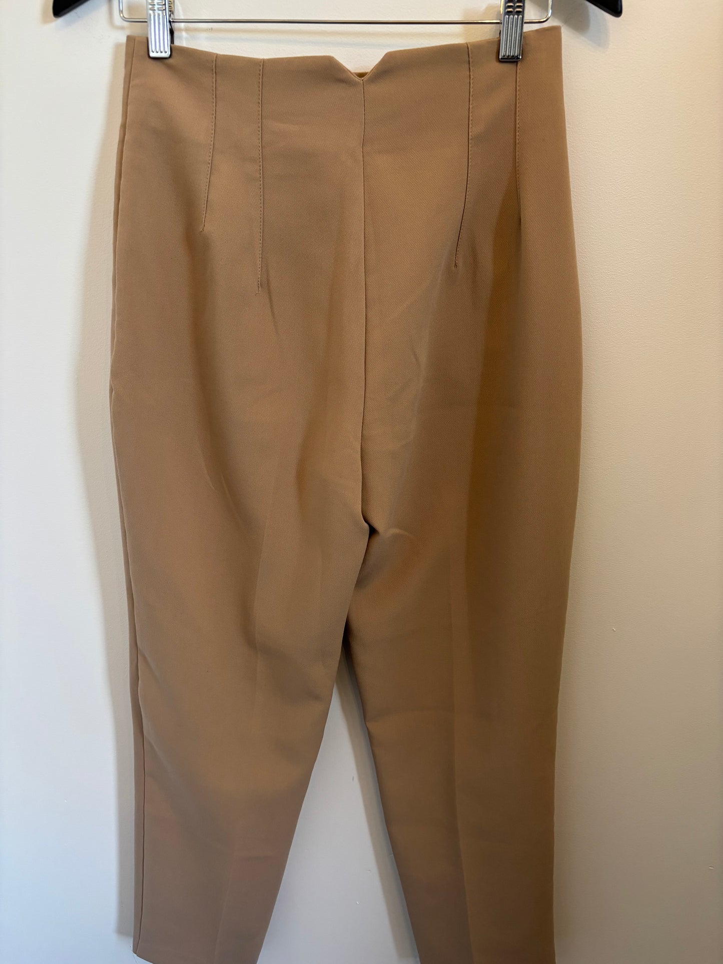 Zara Pleated Pants | Medium (O35L4)