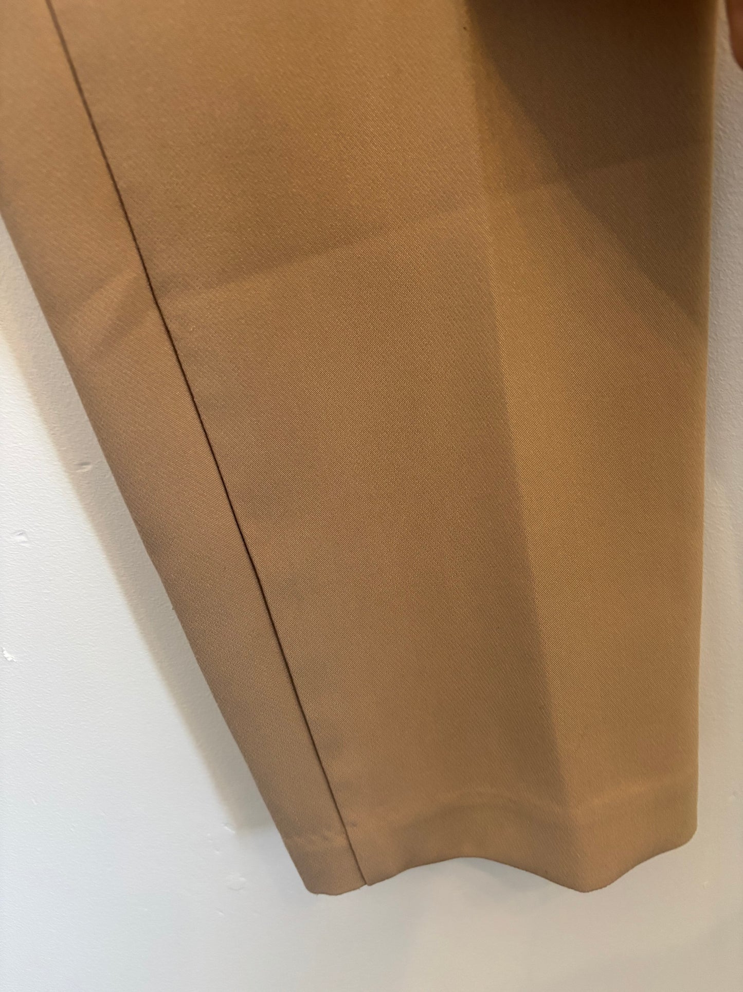 Zara Pleated Pants | Medium (O35L4)