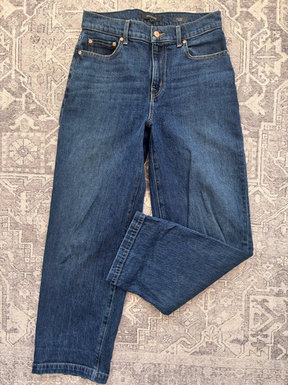 Modern American Daisy Barrel Leg Jeans | Sz 27 (may also fit 28)