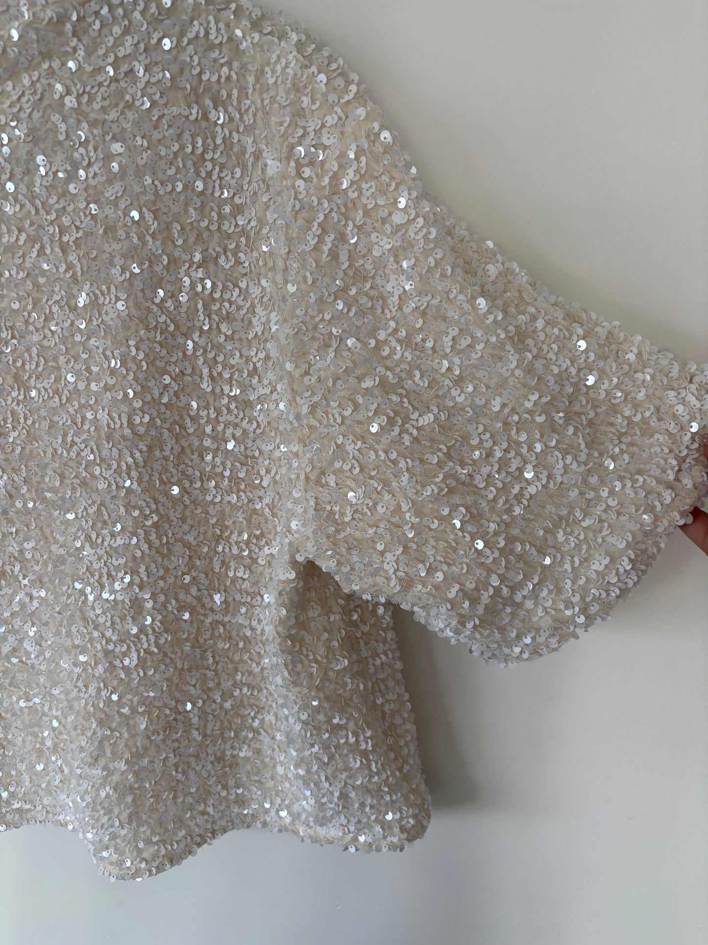 H&M Sequined Mock Neck Top  | Large (N104N19)