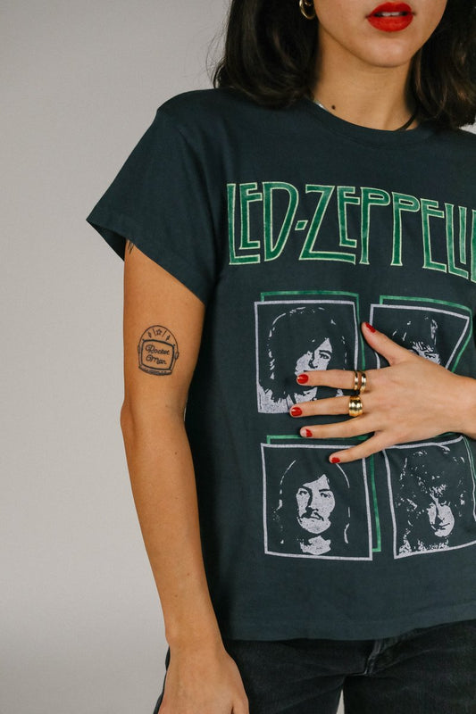 Led Zepplin Daydreamer | Large