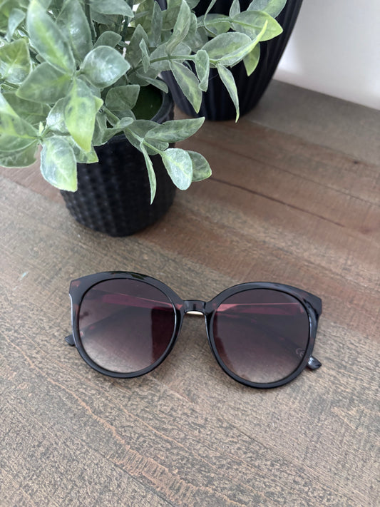 Tommy Hilfiger Sunglasses