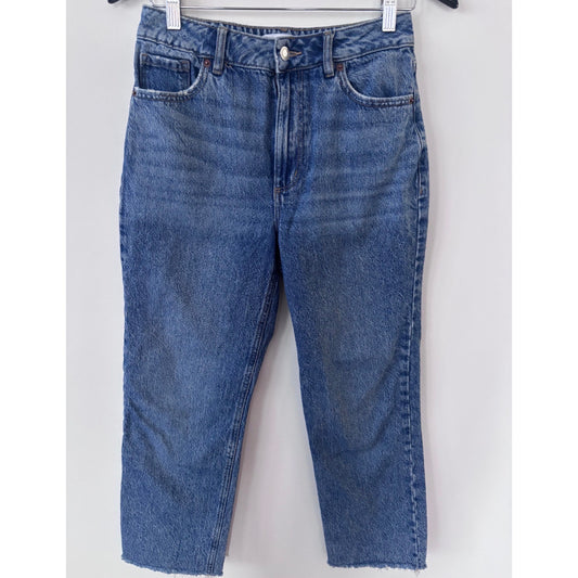 Dynamite Irena Straight Leg Jeans | Sz 27 (F63P3)