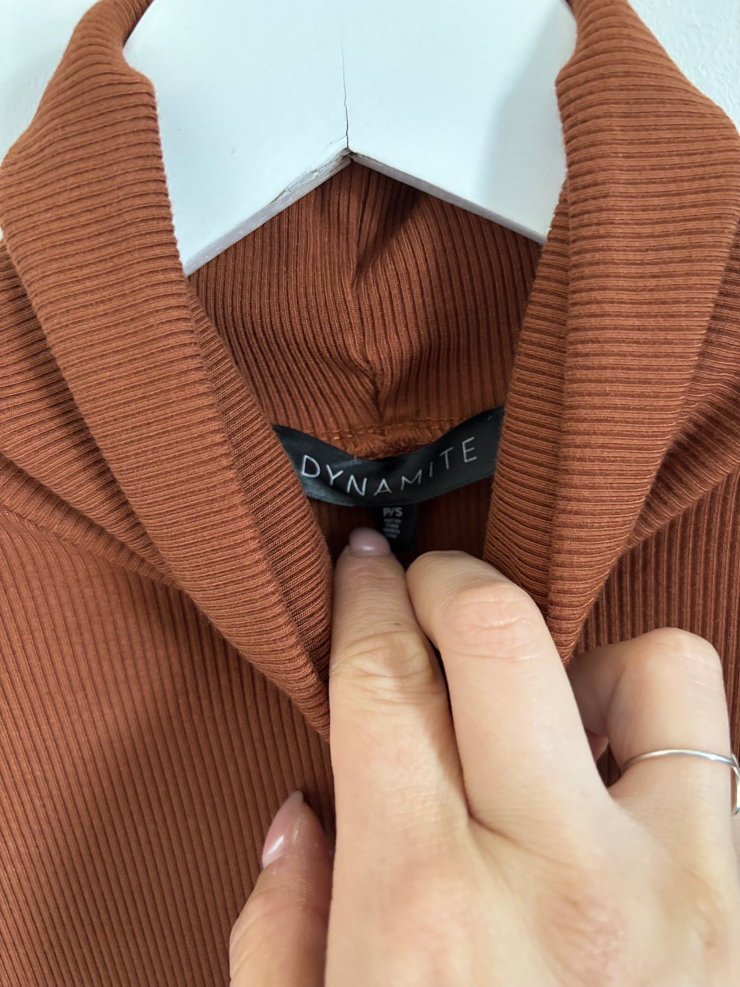 Dynamite Isabella Ribbed Turtleneck Mini Dress | Small (O23L4)