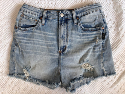 Silver Light Blue Distressed Highly Desirable Denim Shorts | Sz 29 (fit 27/28)