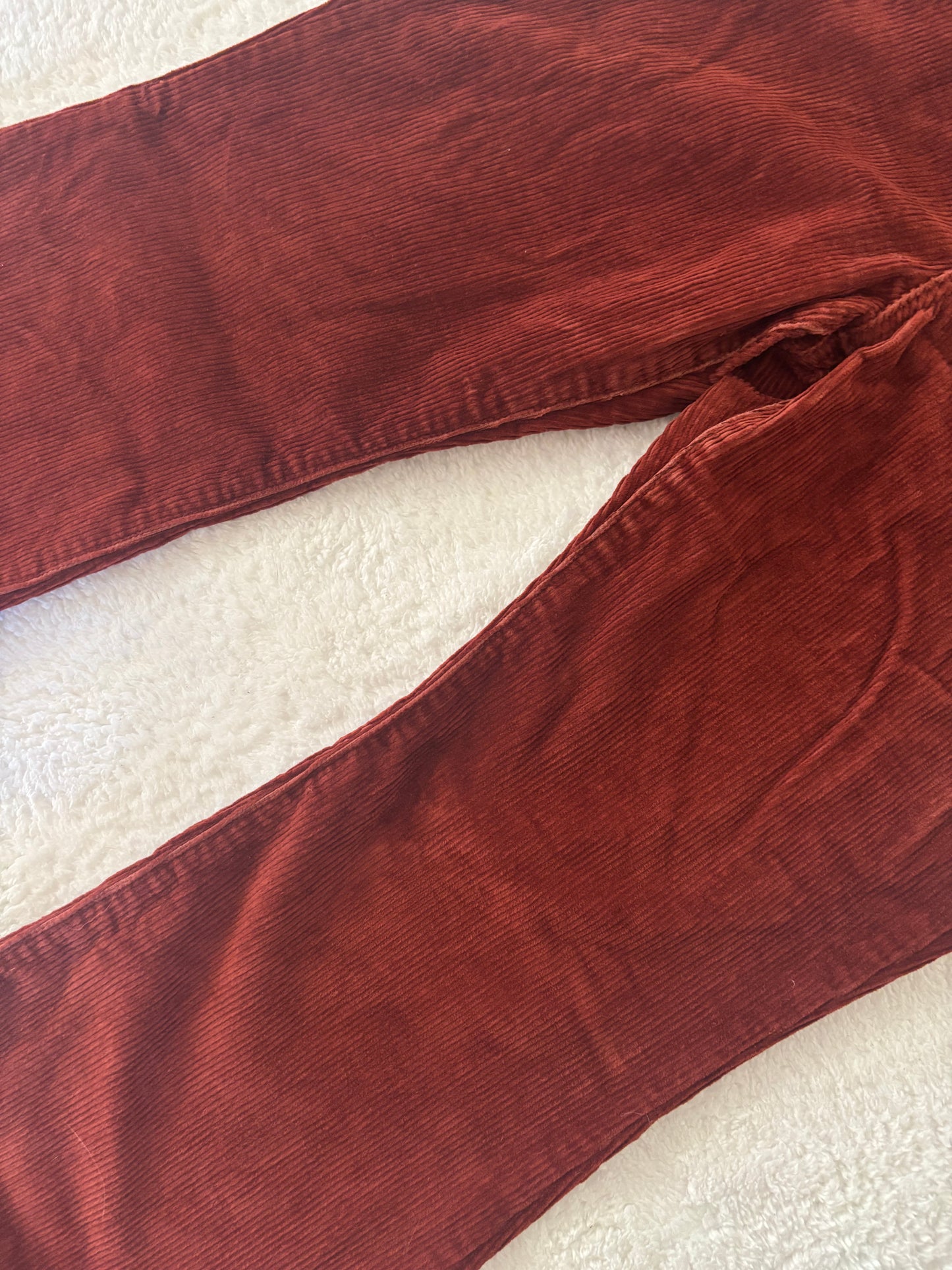 Levi's 70s High Flare Corduroy Pants | 28 (O72M10)