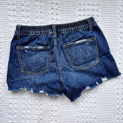 Aerie Daydream Denim Shorts (dark wash 1) | Sz Small
