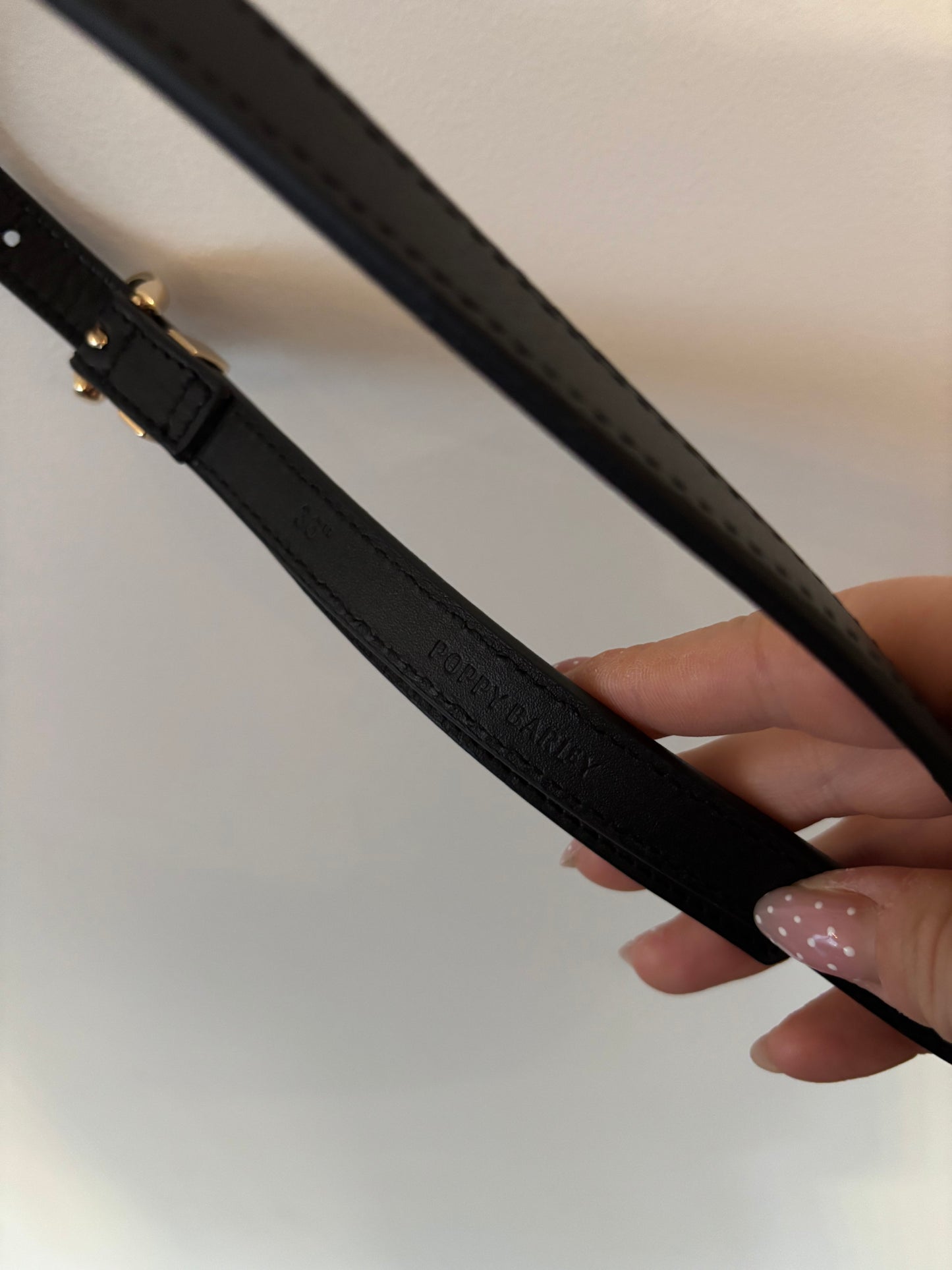 Poppy Barley Thin Black Belt / Gold Hardware (N90S20)