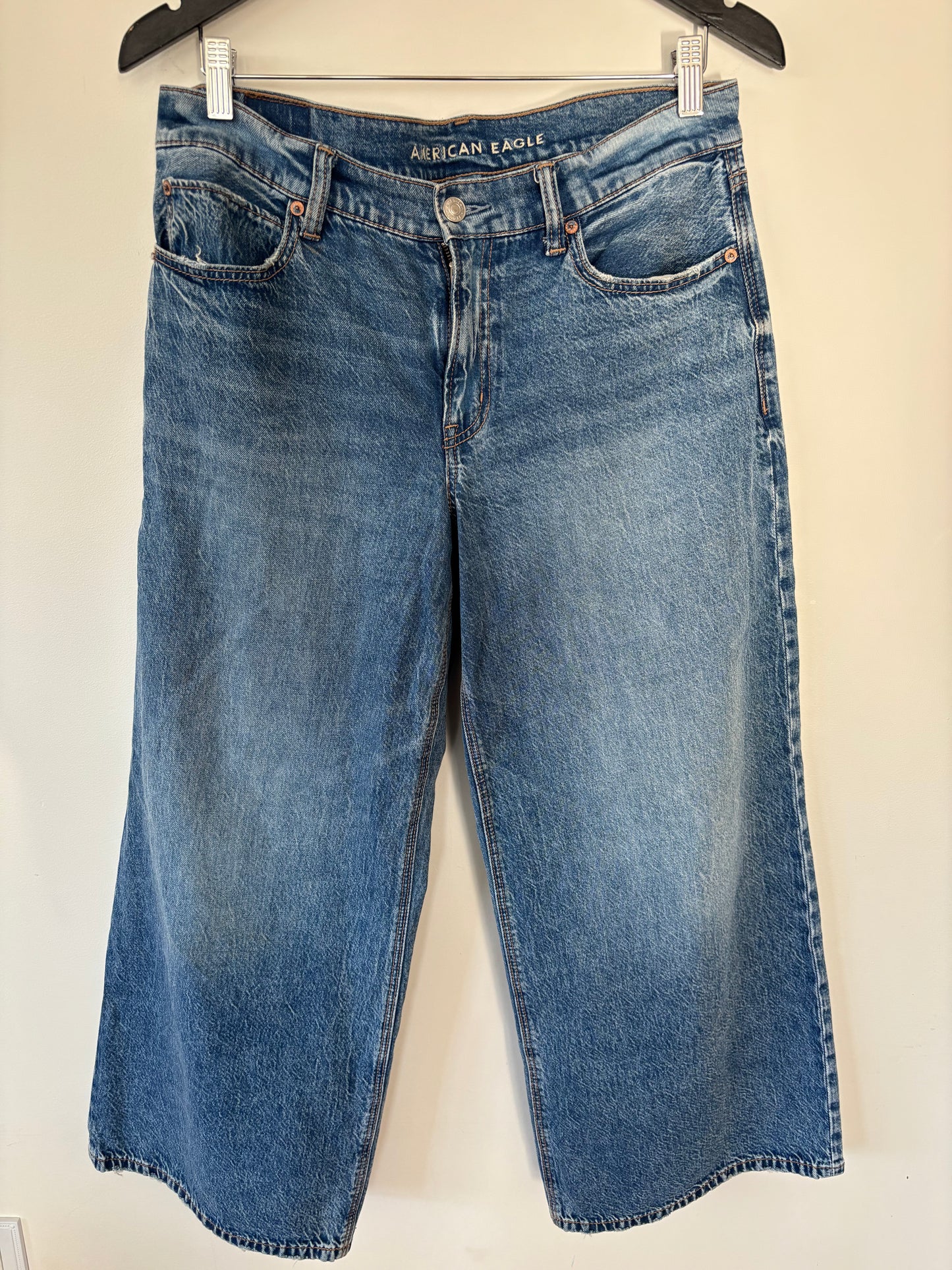 AE Dreamy Drape Strigid Low-Rise Ultra Wide-Leg Jean | 6 Short (N151W2)