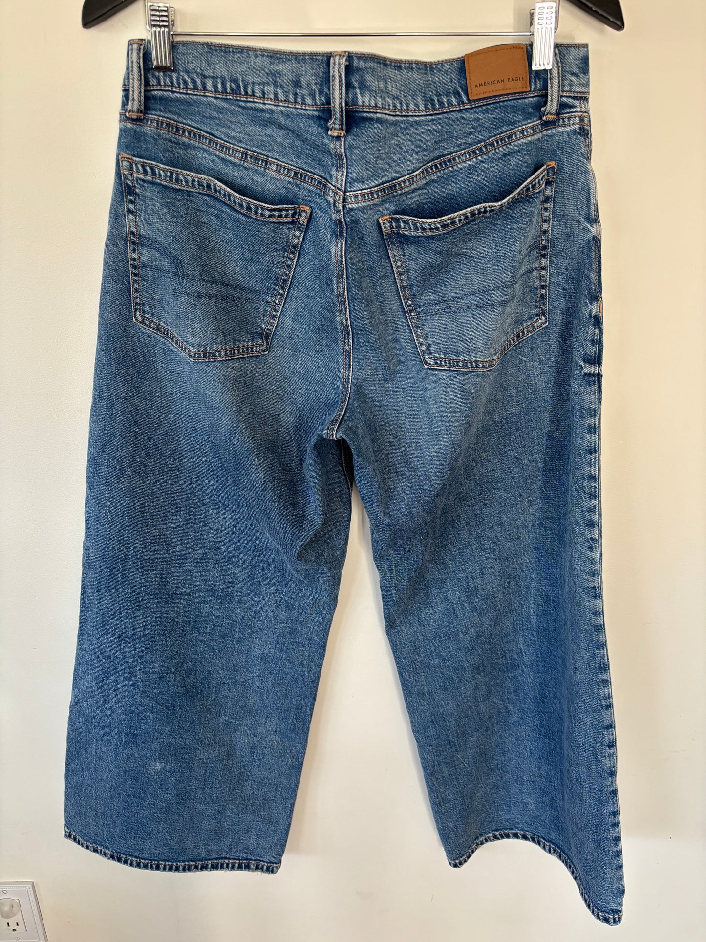 AE Dreamy Drape Strigid Low-Rise Ultra Wide-Leg Jean | 6 Short (N151W2)