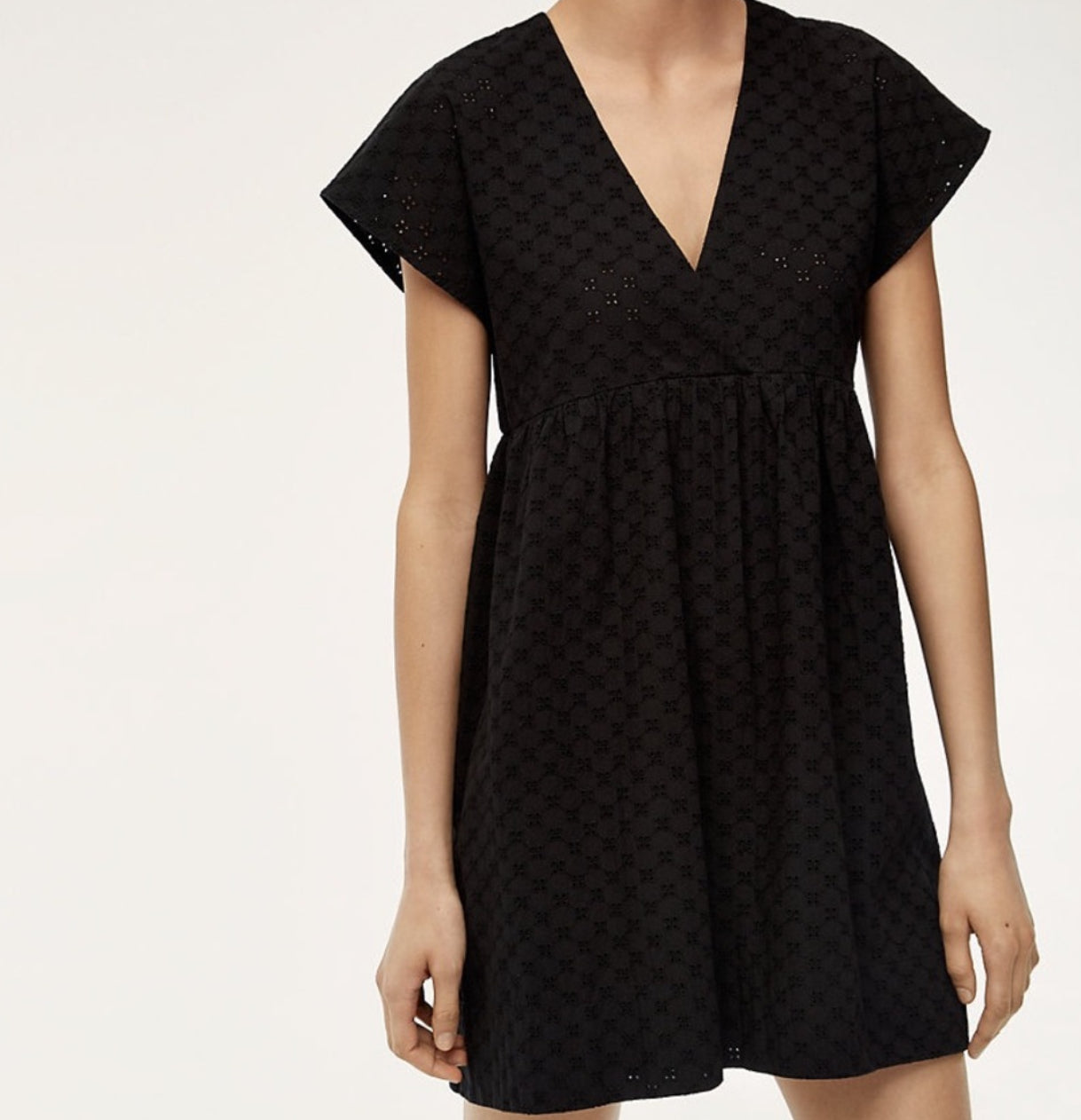 Wilfred / Aritzia Misha Eyelet Dress | XS (fits like small)