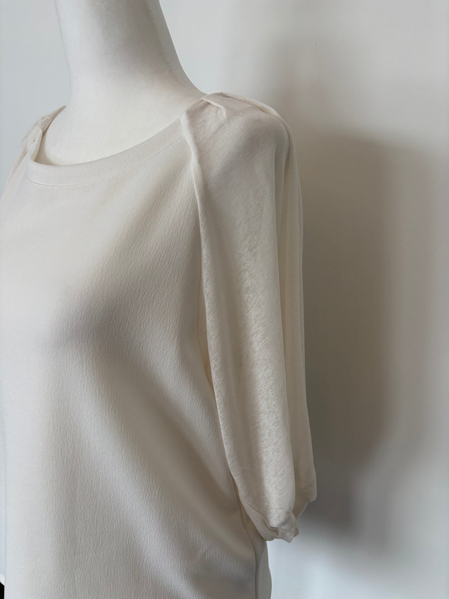 Banana Republic Balloon Sleeve Top | Medium (generous fit) (N105N19)