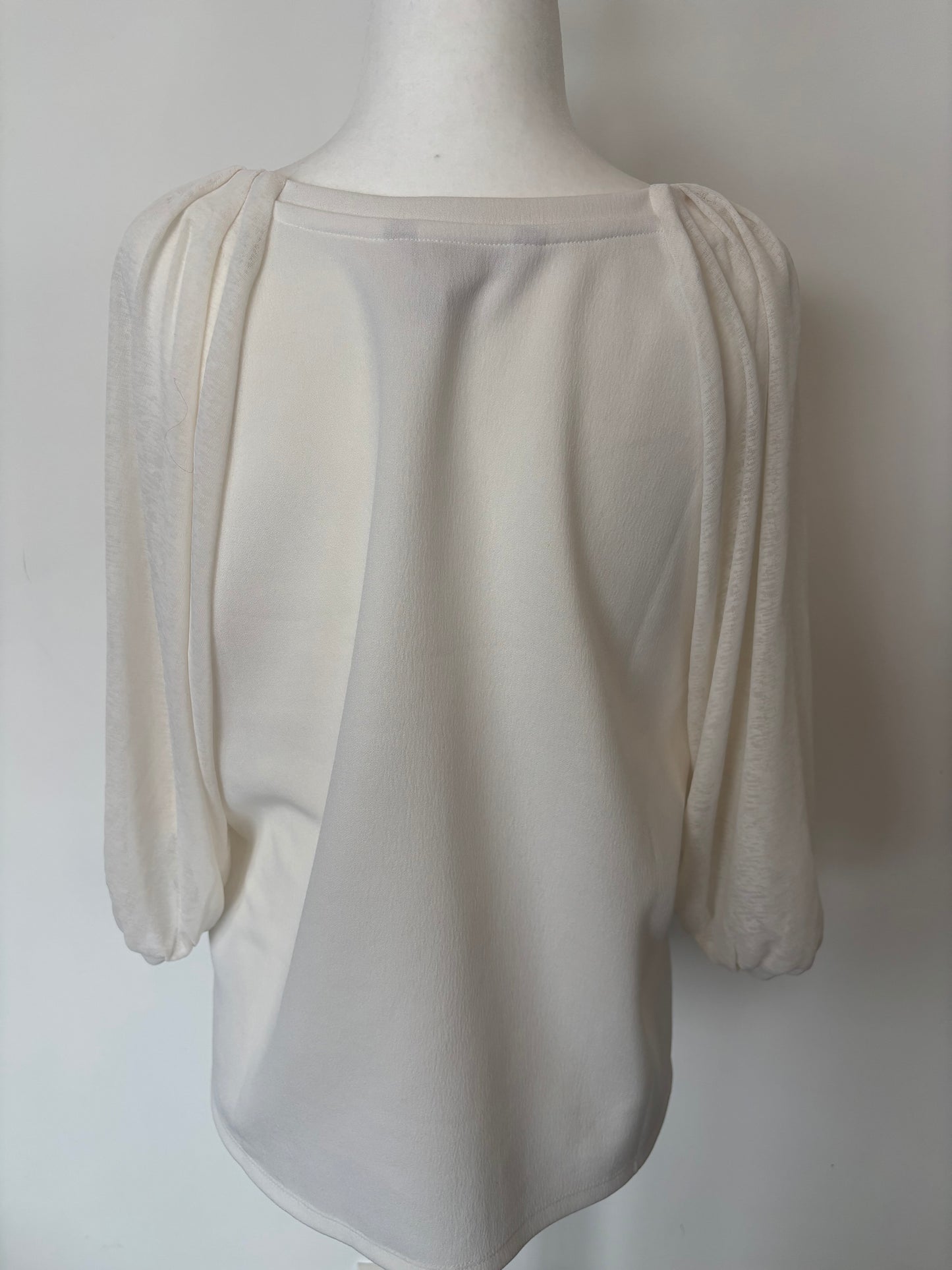 Banana Republic Balloon Sleeve Top | Medium (generous fit) (N105N19)