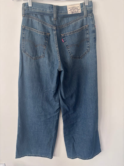 Levi's XL Straight Cotton Linen Jeans | Sz 26 (loose, can fit Sz 27)
