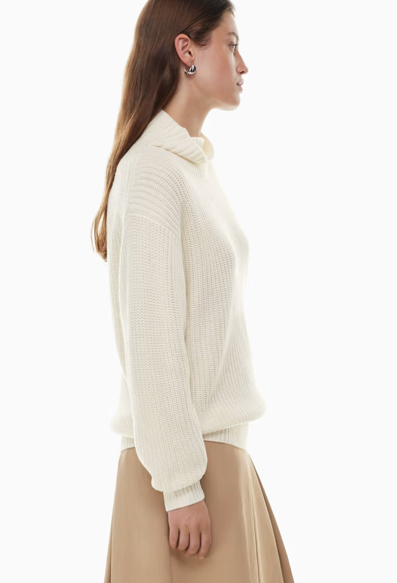 New Wilfred / Aritzia Montpellier Wool Turtleneck | Medium (relaxed fit)
