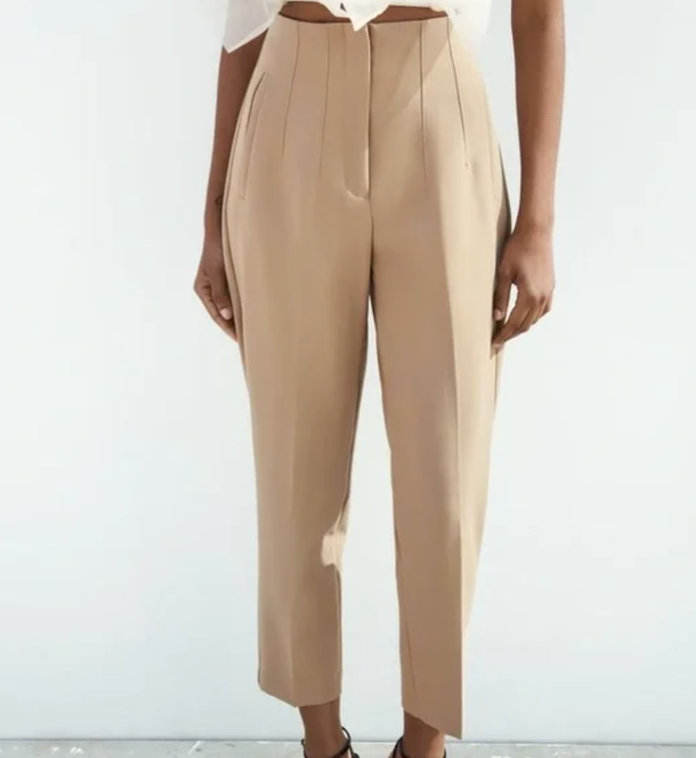 Zara Pleated Pants | Medium (O35L4)