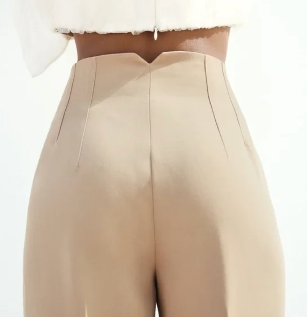 Zara Pleated Pants | Medium (O35L4)