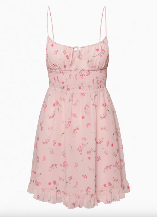 Wilfred Smocked Genoa Mini Dress in Spring Medley | Sz XS (M101W8)