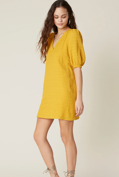 BB Dakota Fields of Gold Dress | Sz XS